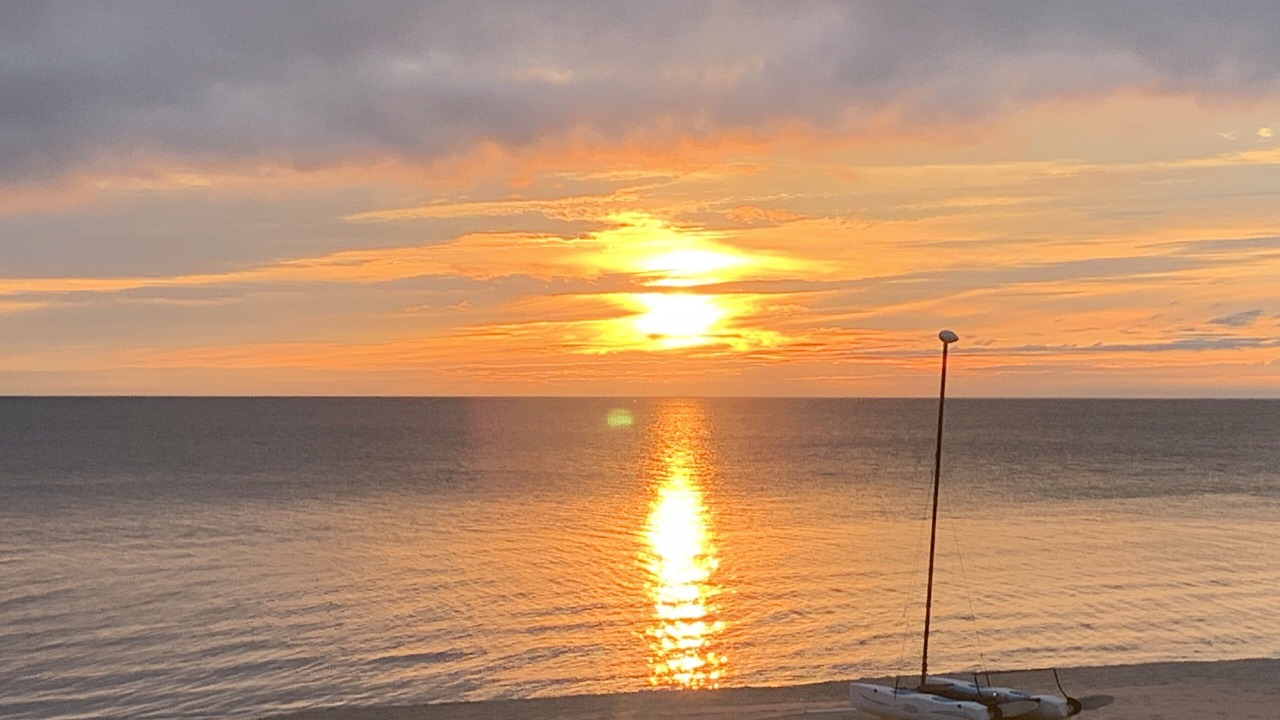 Photo of Others in Pulaski