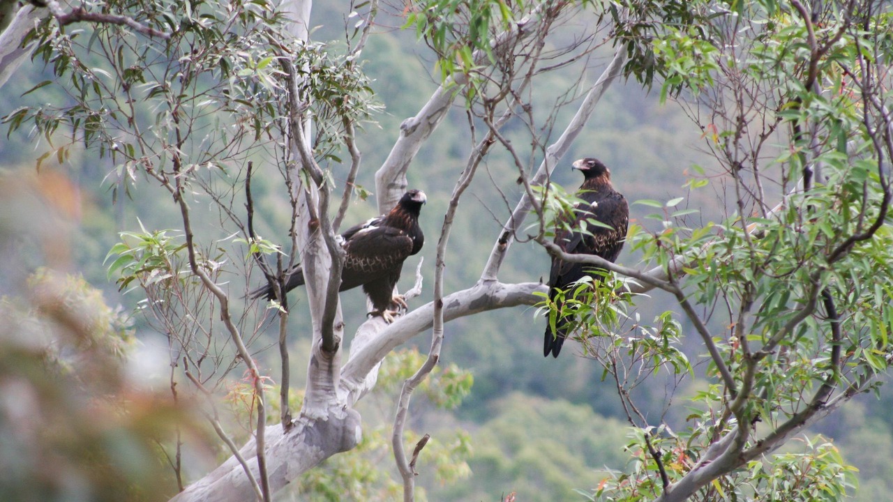 Photo of Outdoor in Vacy