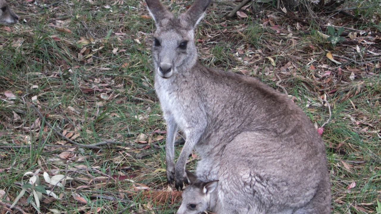 Photo of Outdoor in Vacy