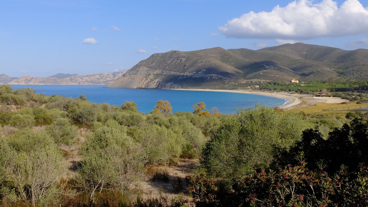 Photo of Others in Palasca