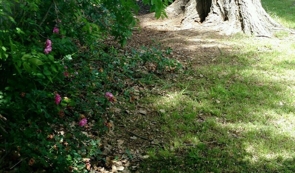 Photo of Outdoor in Lawton