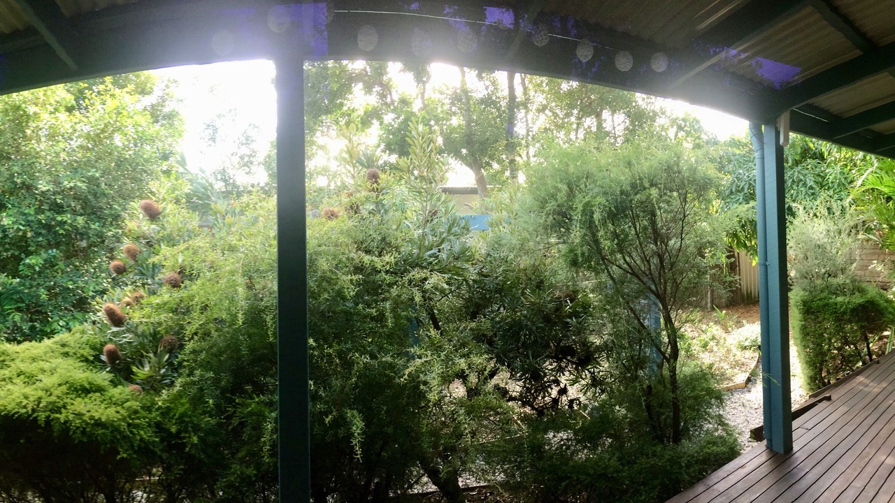 Photo of Outdoor in Suffolk Park