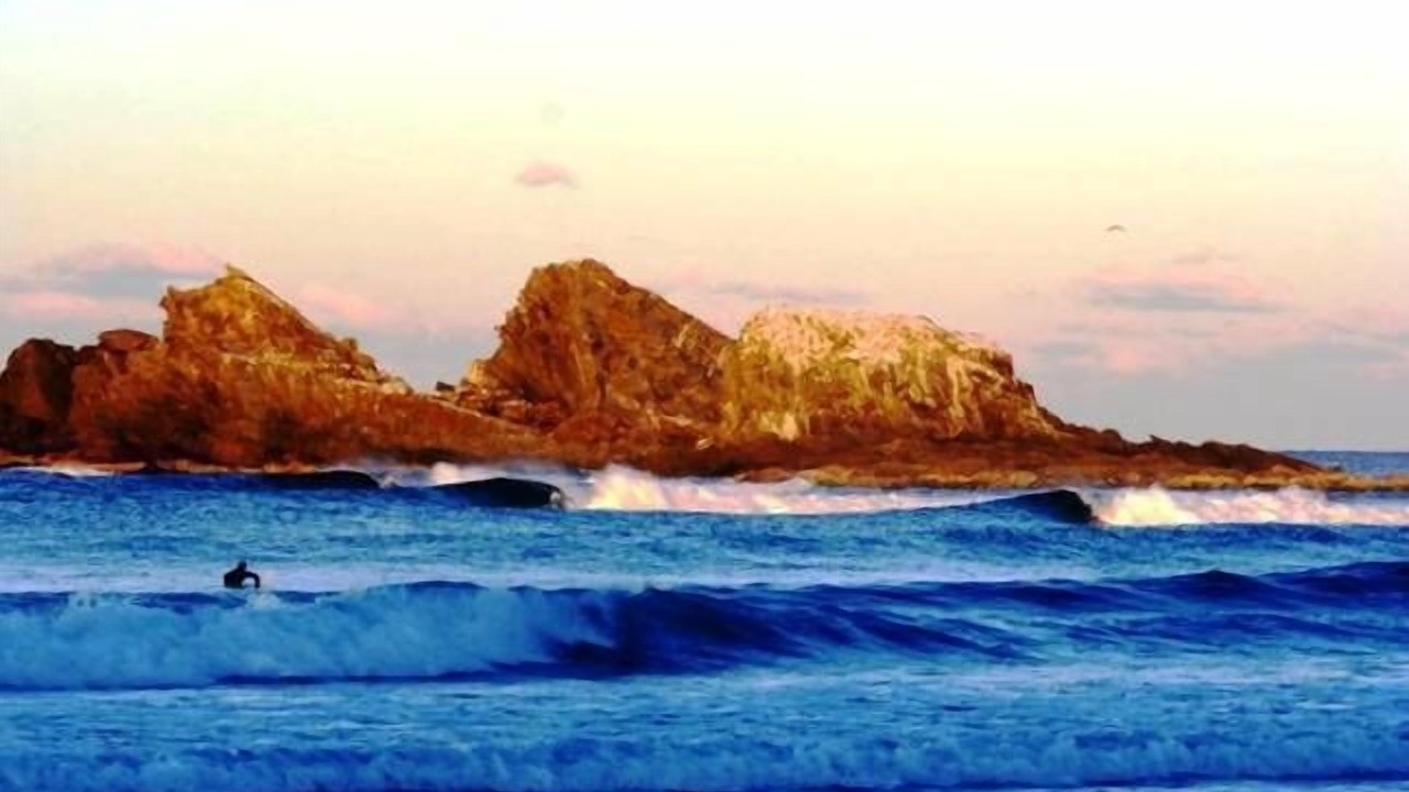 Photo of Others in Suffolk Park