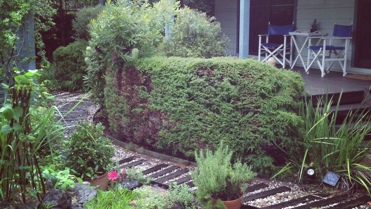 Photo of Outdoor in Suffolk Park