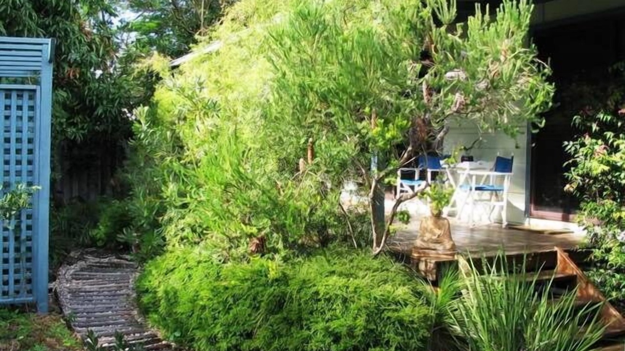 Photo of Outdoor in Suffolk Park