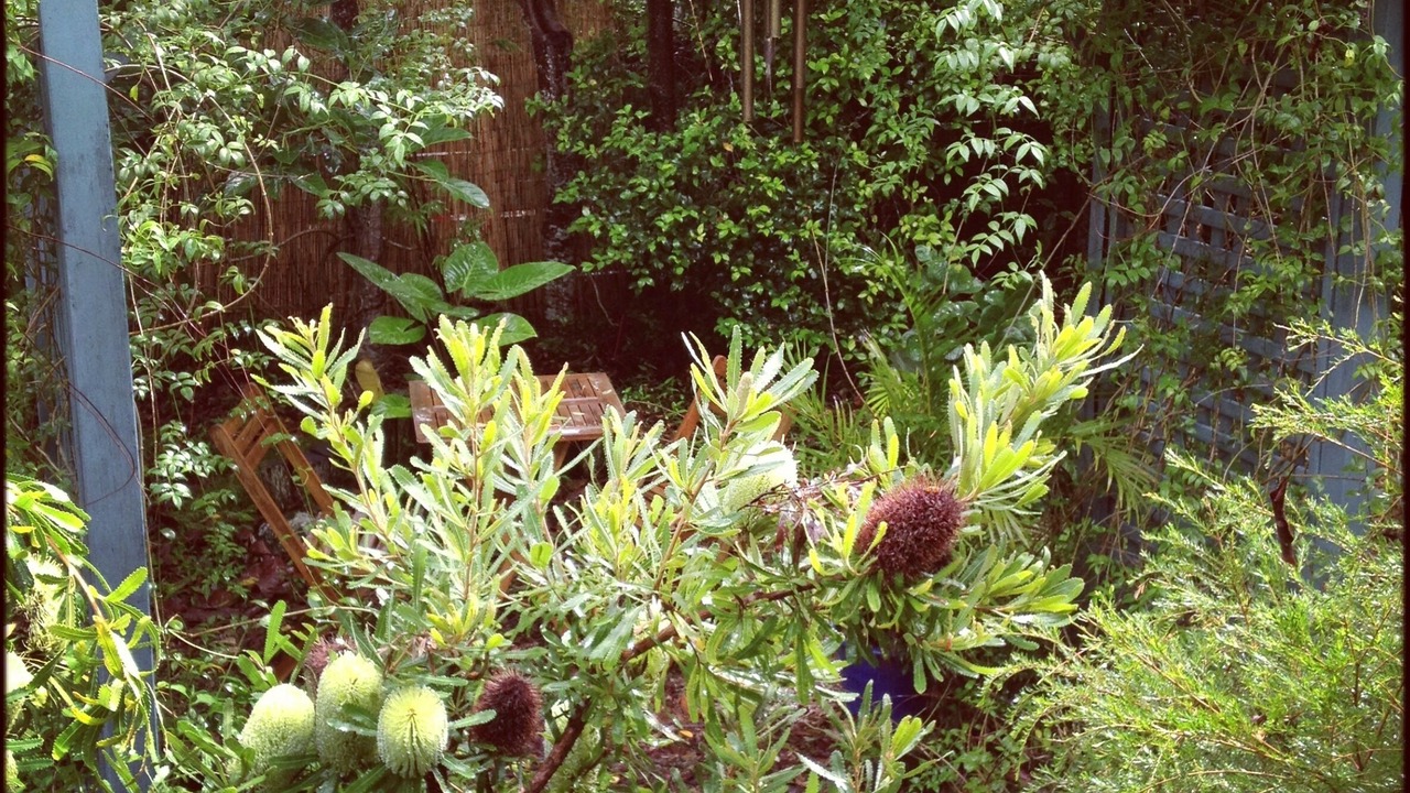 Photo of Outdoor in Suffolk Park