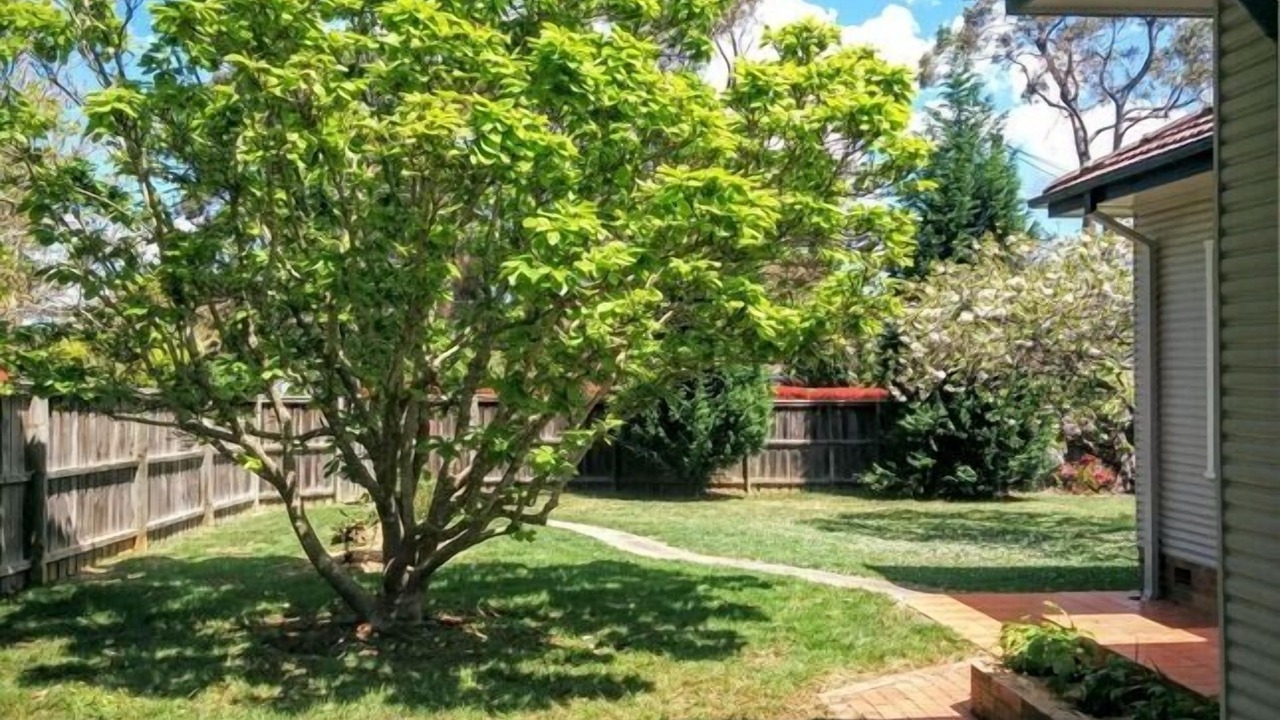 Photo of Outdoor in Bowral