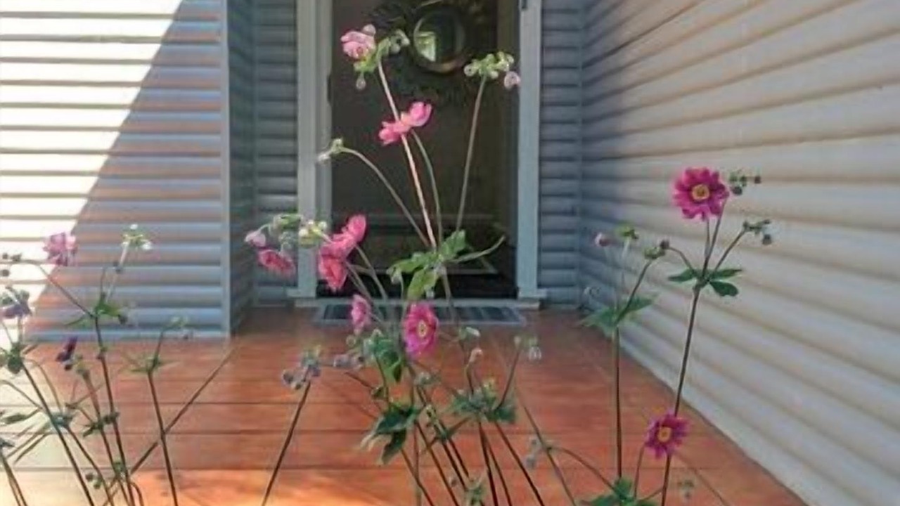 Photo of Outdoor in Bowral