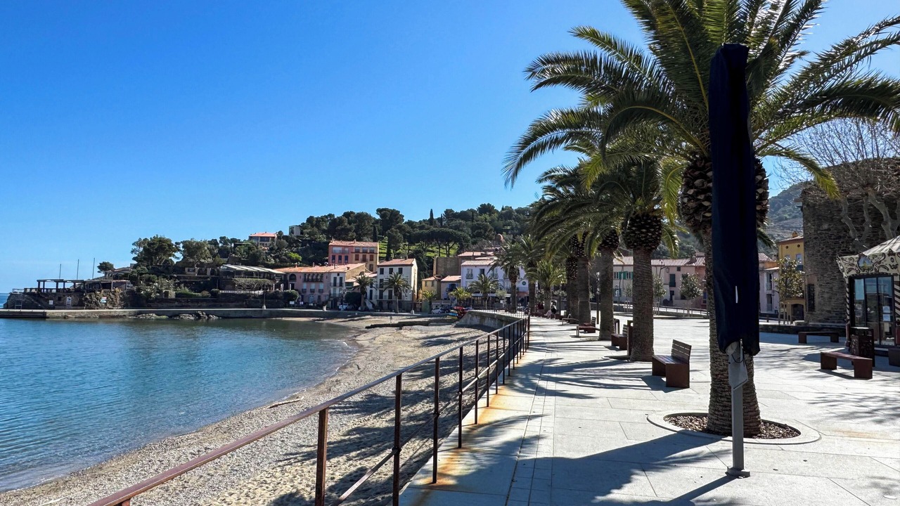 Photo of Others in Collioure