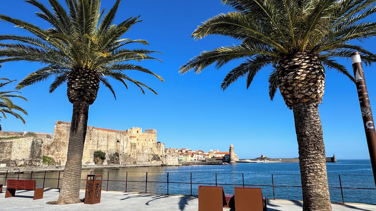 Photo of Others in Collioure