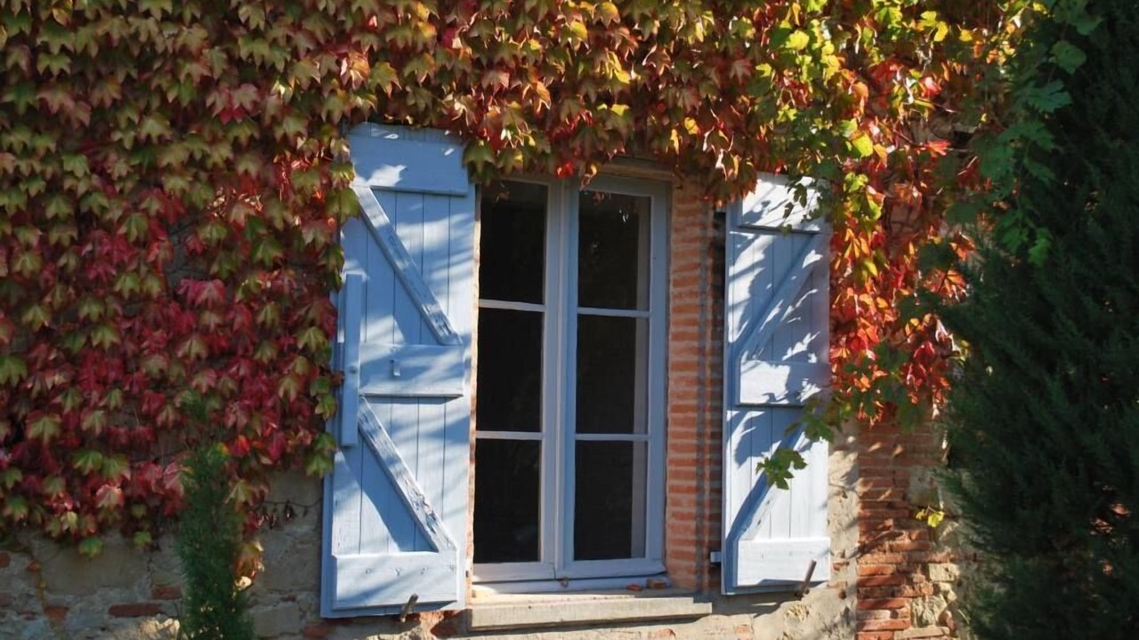 Photo of Others in Caragoudes