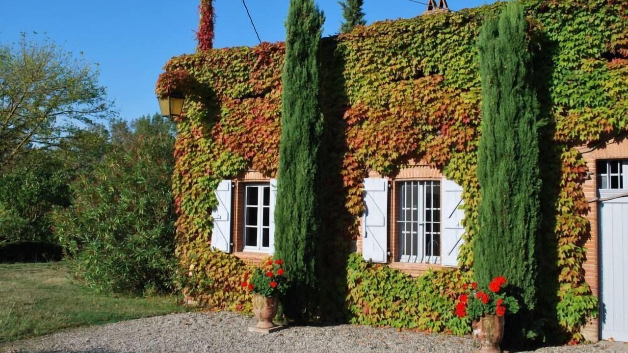 Photo of Others in Caragoudes