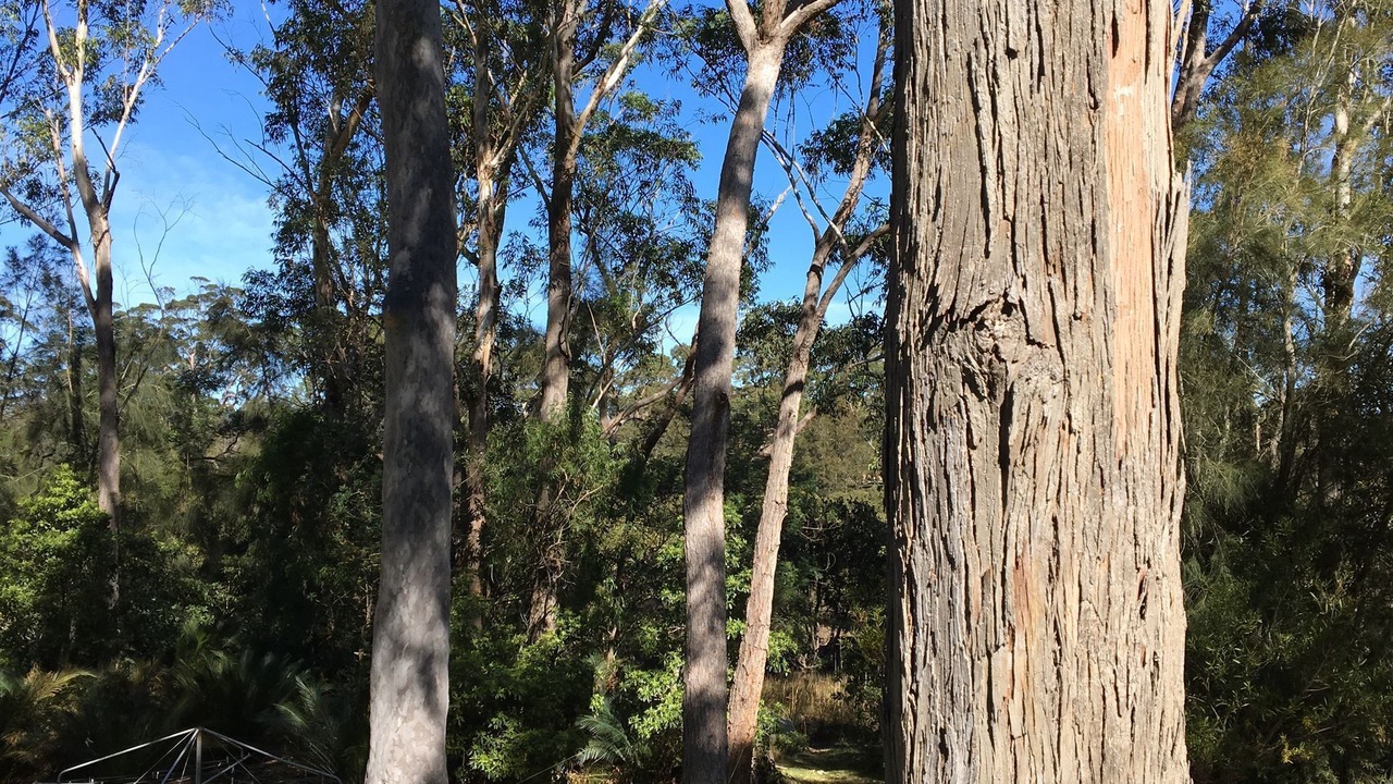 Photo of Outdoor in Mossy Point