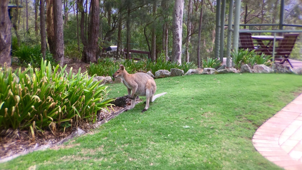 Photo of Outdoor in Vacy