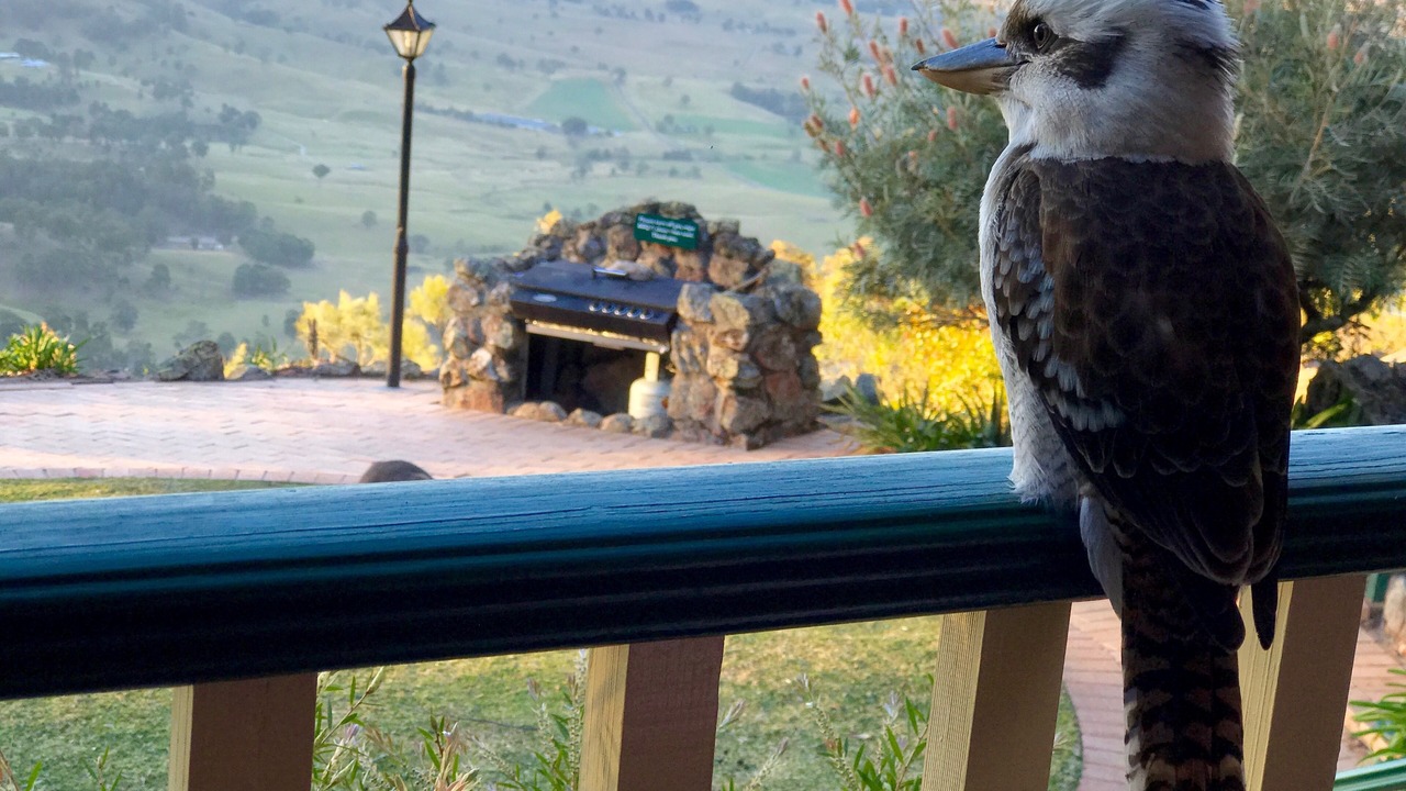 Photo of Outdoor in Vacy