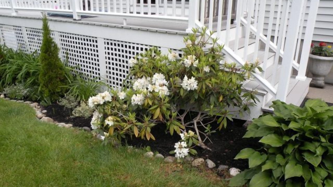 Photo of Outdoor in Freeport