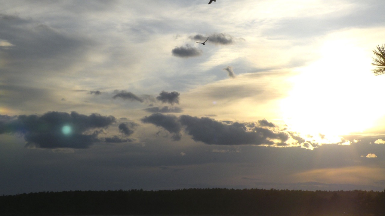 Photo of Others in Freeport