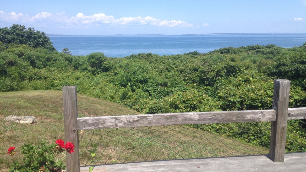 Photo of Others in Aquinnah