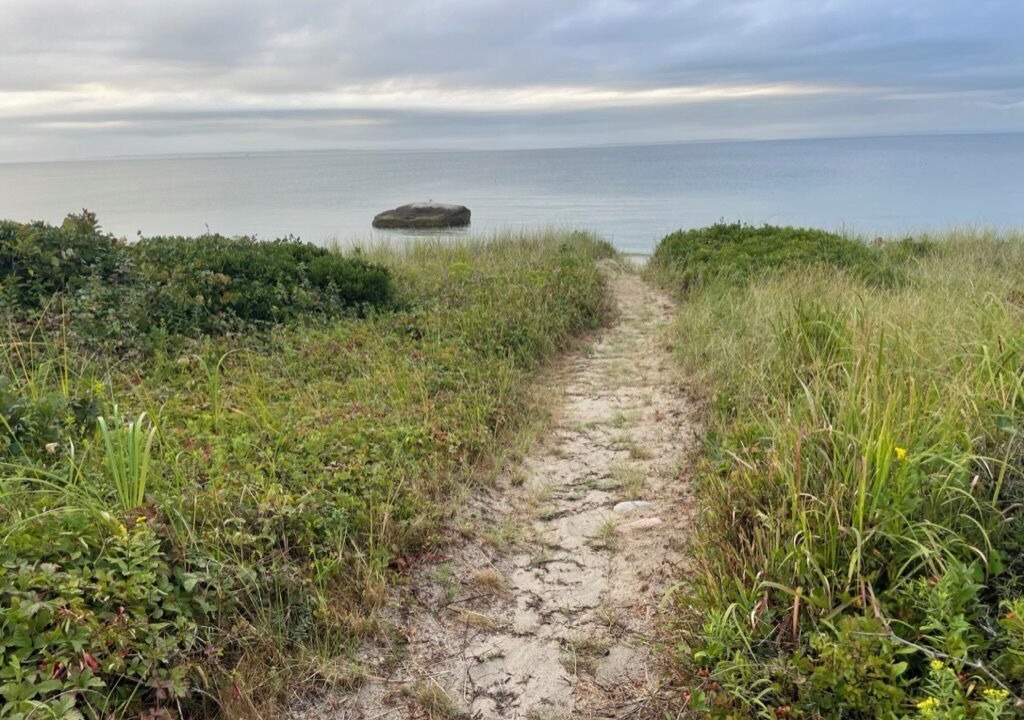 Photo of Others in Aquinnah