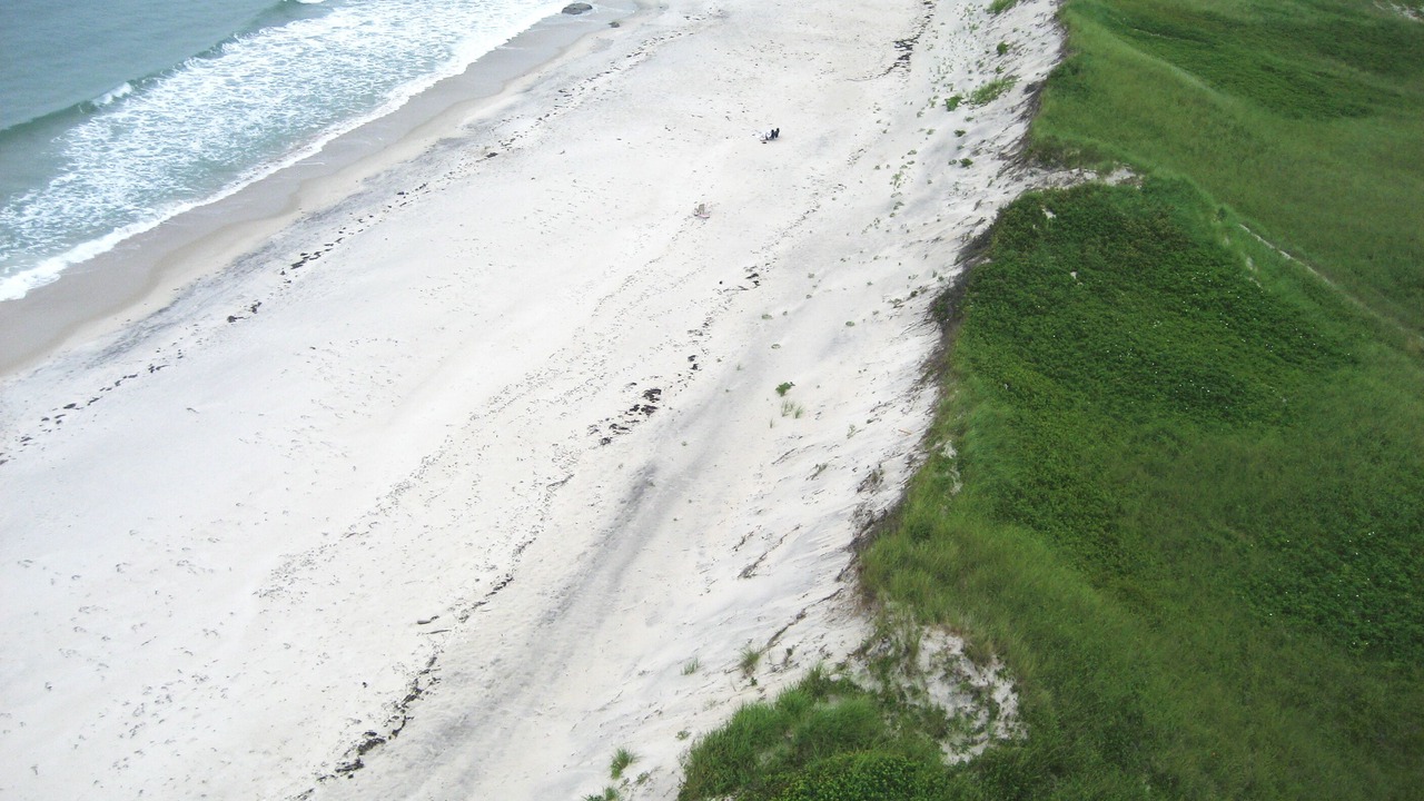 Photo of Others in Aquinnah