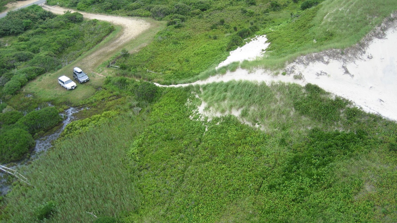 Photo of Others in Aquinnah