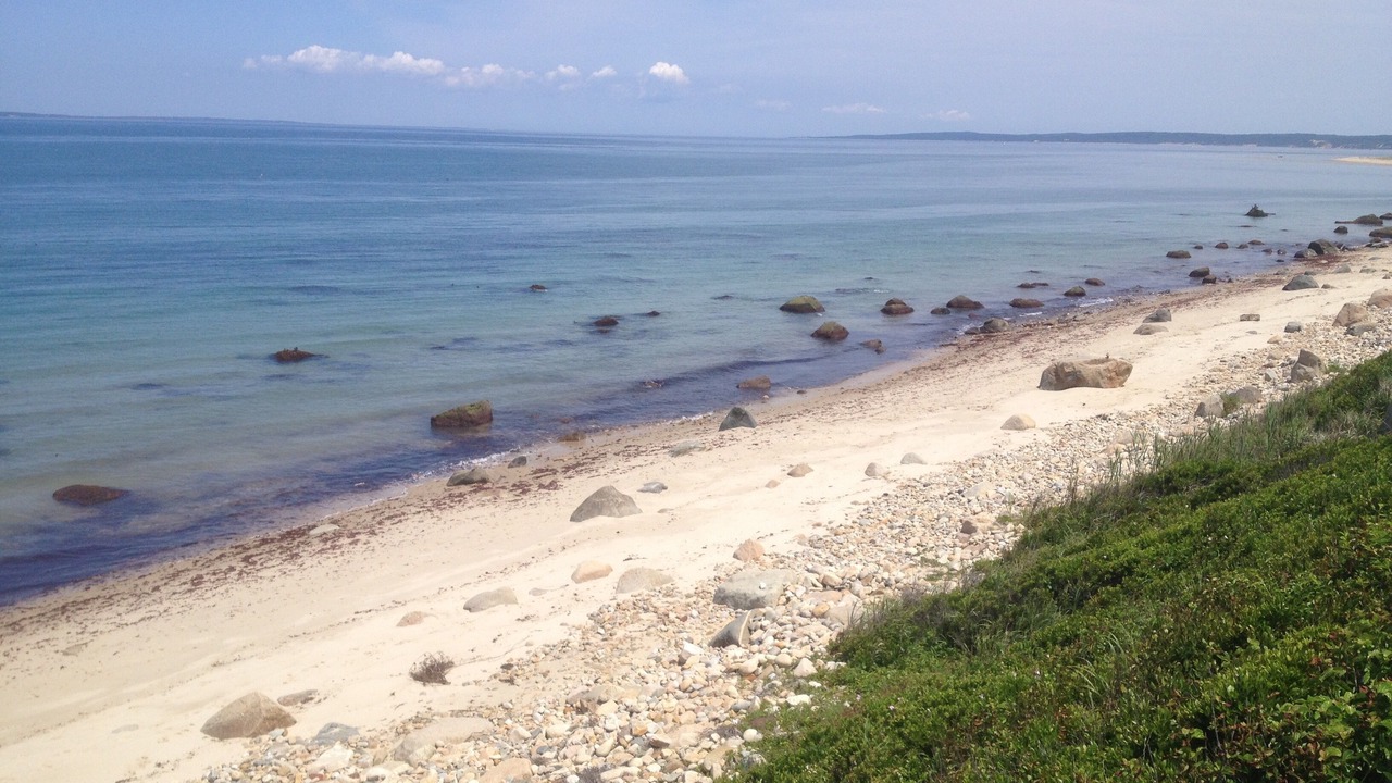 Photo of Others in Aquinnah