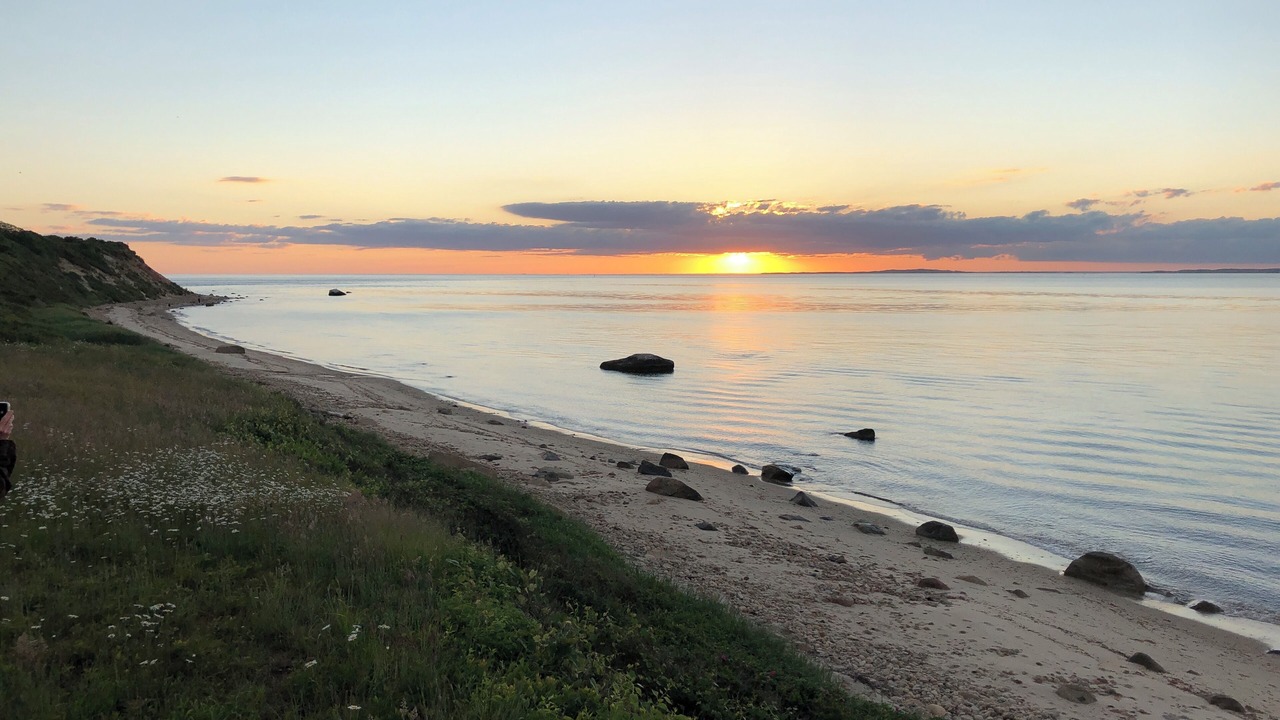 Photo of Others in Aquinnah