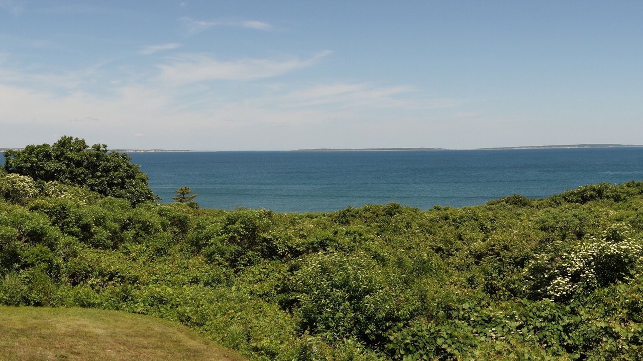 Photo of Others in Aquinnah