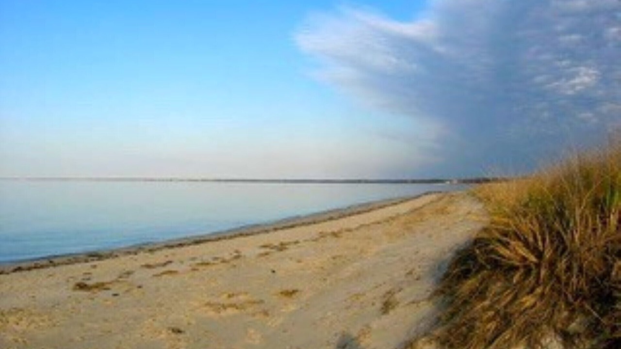 Photo of Others in Brewster