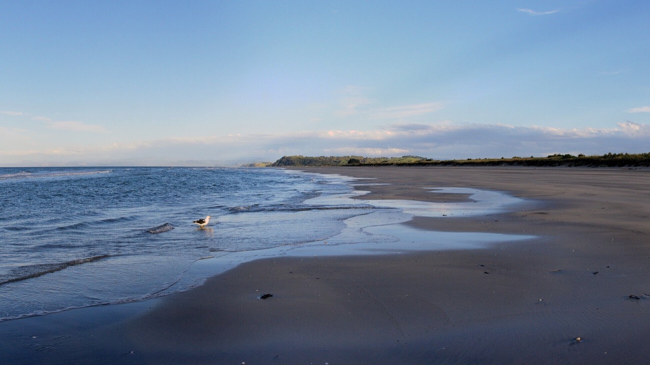 Photo of Others in Ohope