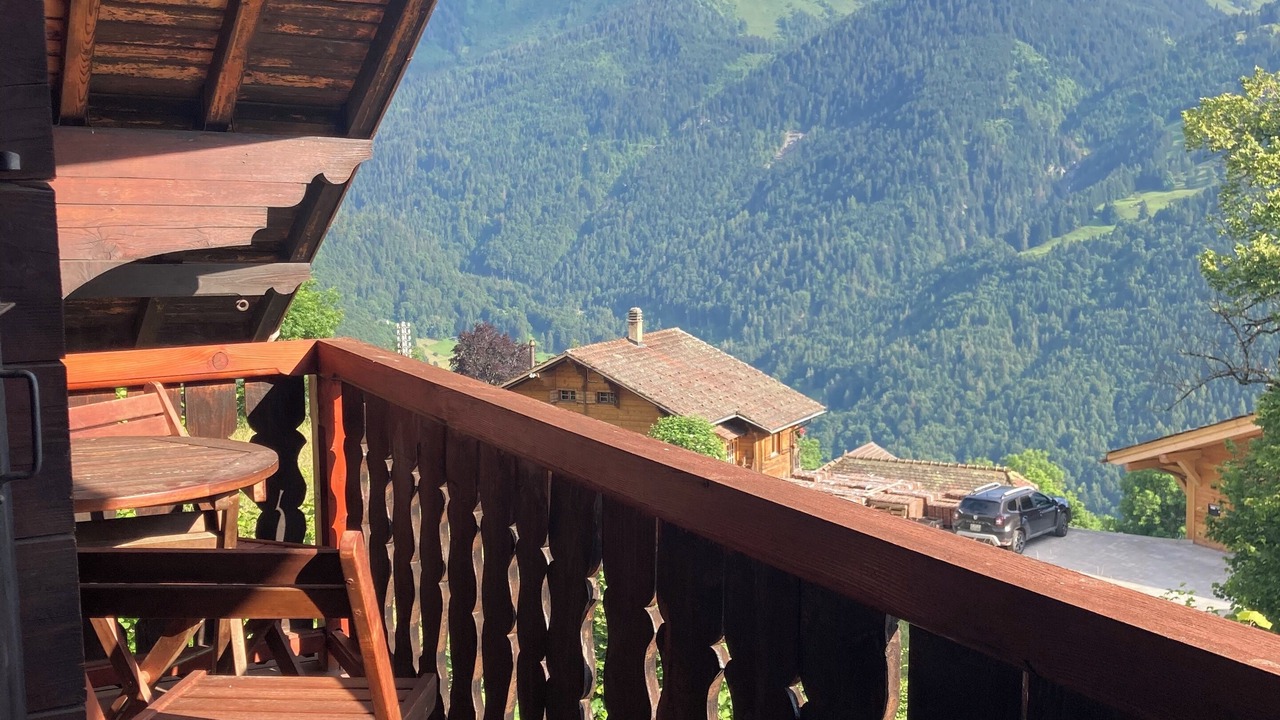 Photo of Outdoor in Les Posses-sur-Bex