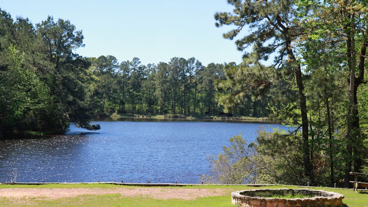 Photo of Outdoor in Grapeland