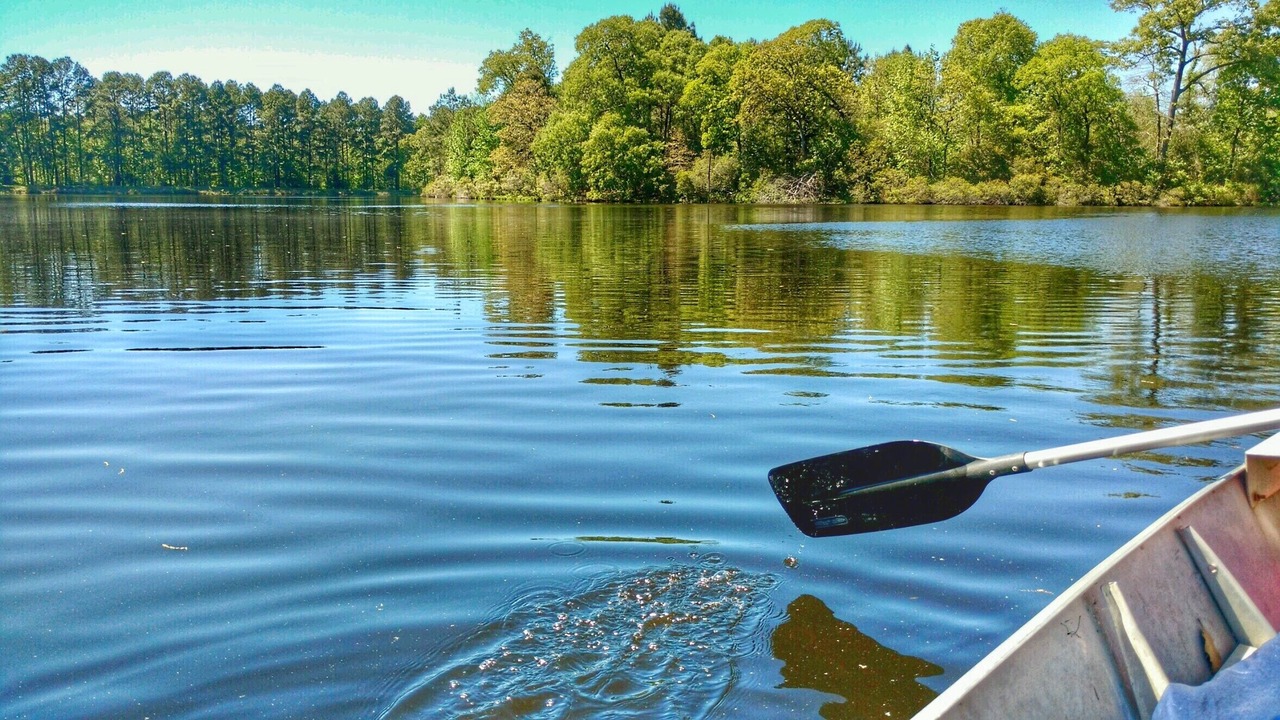 Photo of Outdoor in Grapeland