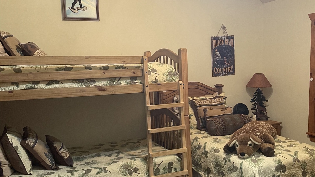 Photo of Bedroom in Branson West