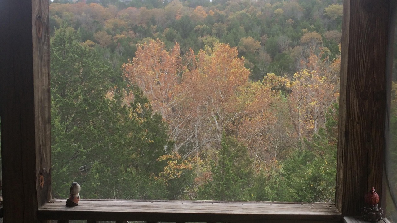 Photo of Others in Branson West