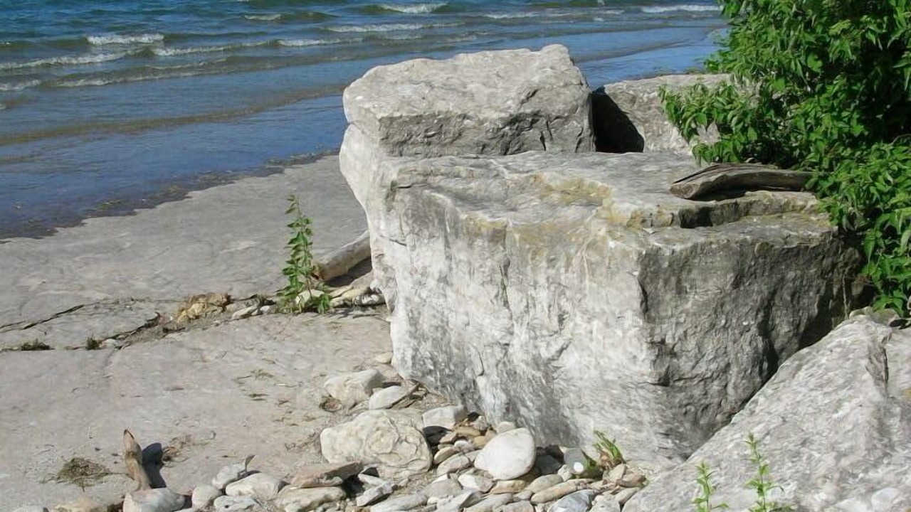 Photo of Others in Kingsville