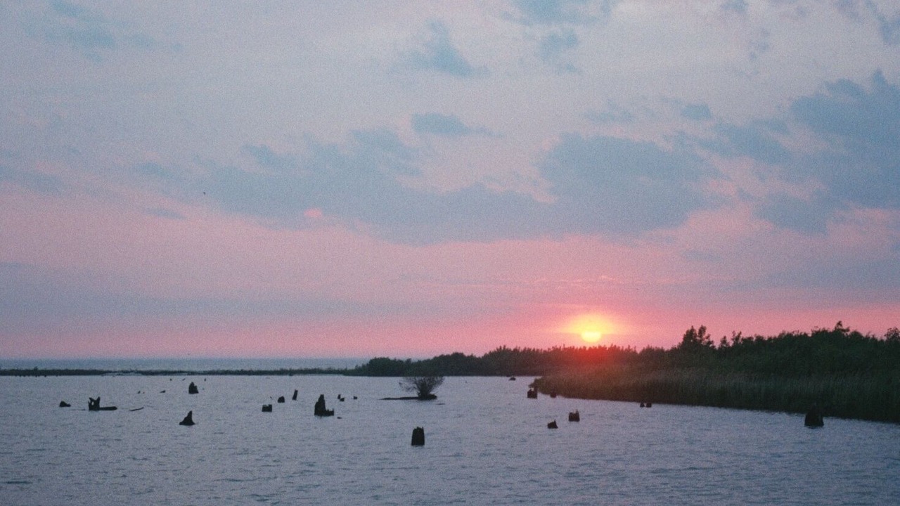 Photo of Outdoor in Kingsville