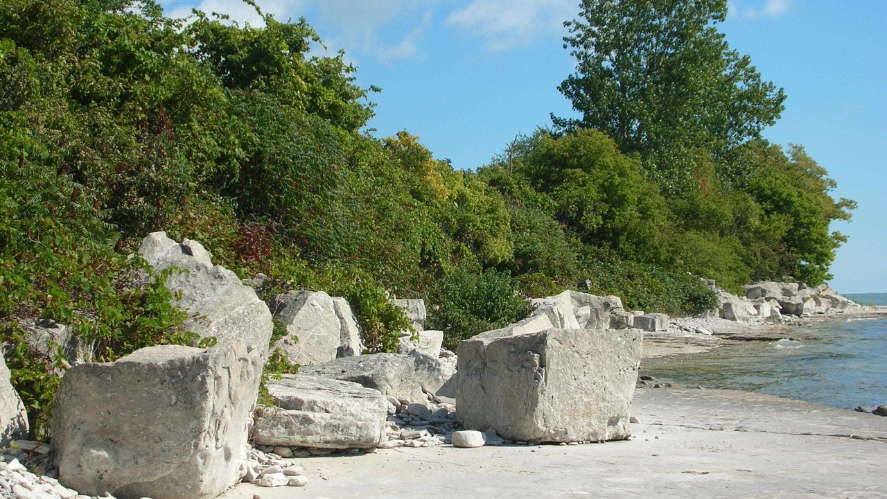 Photo of Others in Kingsville