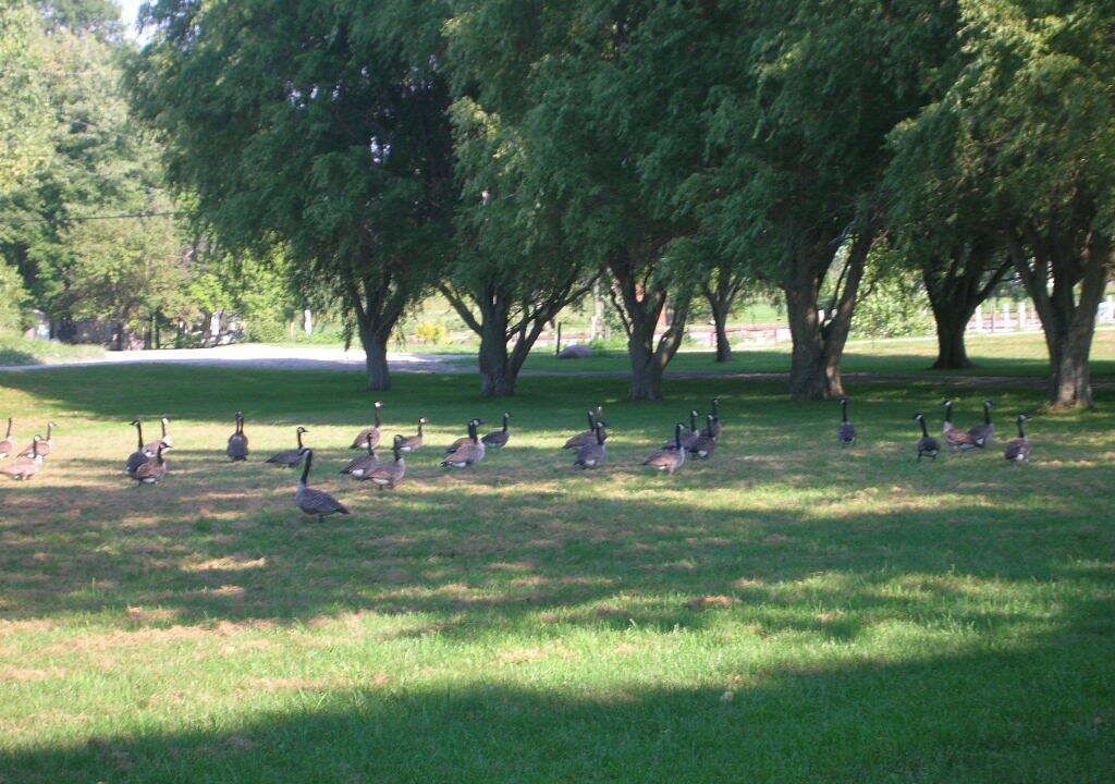 Photo of Others in Kingsville