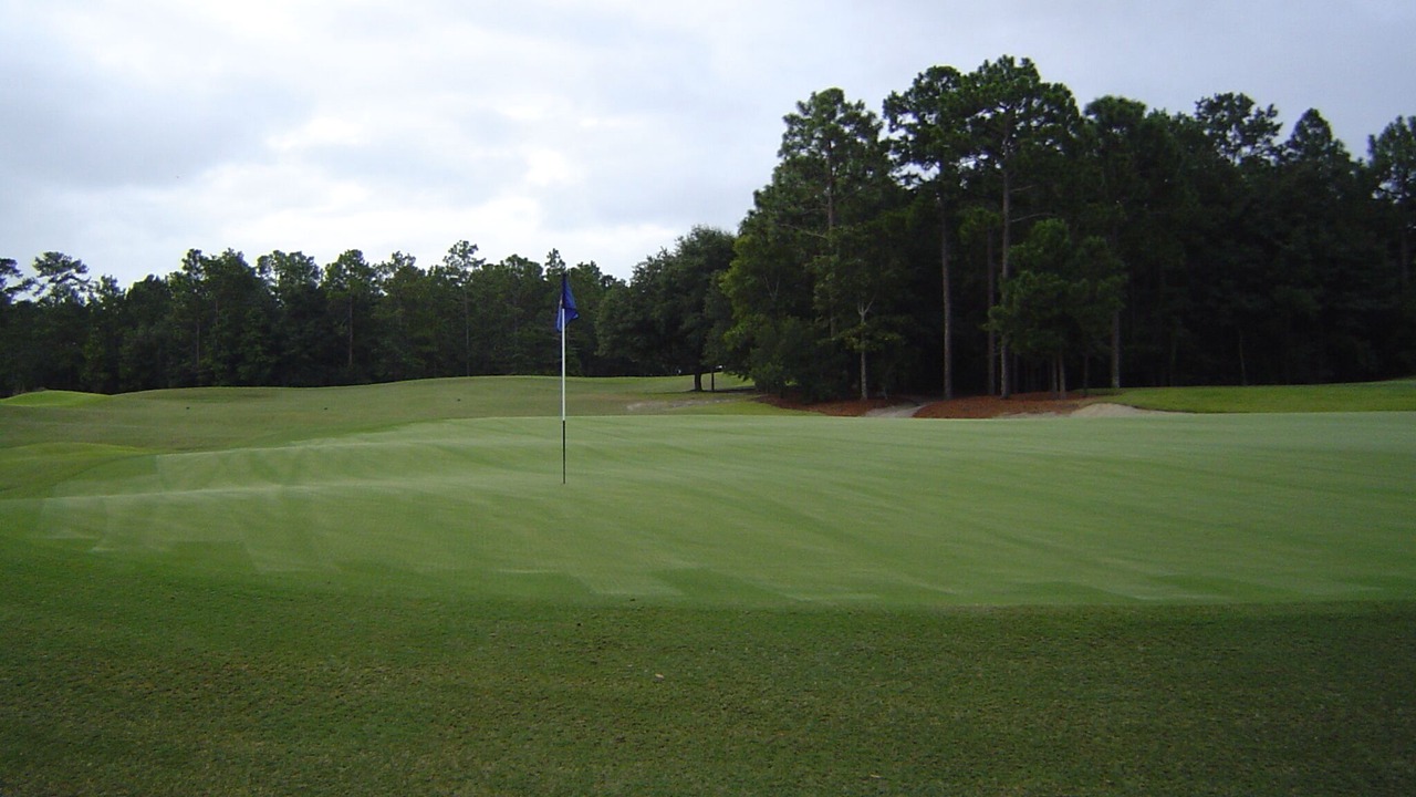 Photo of Others in Pawleys Island