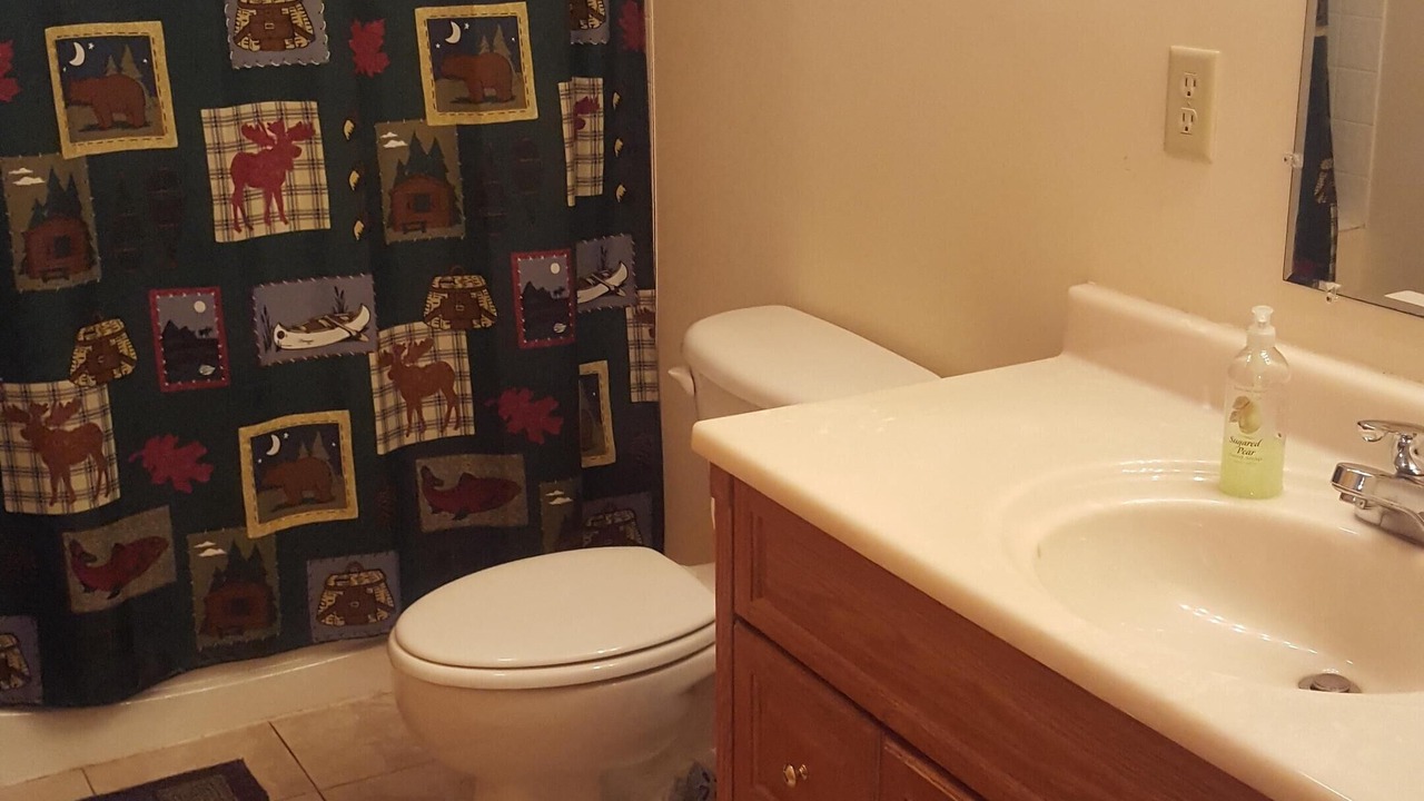 Photo of Bathroom in Dushore