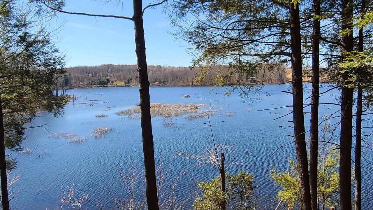 Photo of Outdoor in Dushore