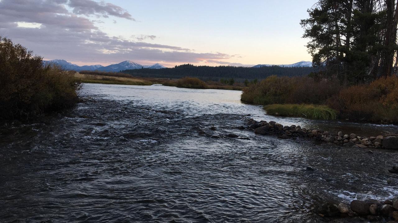 Photo of Others in Stanley