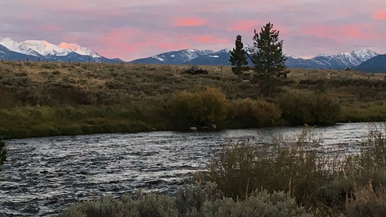 Photo of Others in Stanley