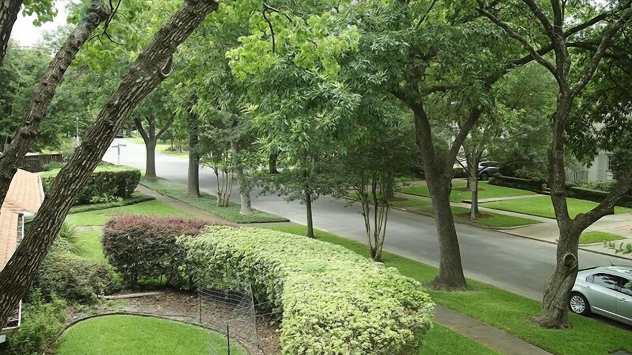 Photo of Outdoor in Texas Medical Center