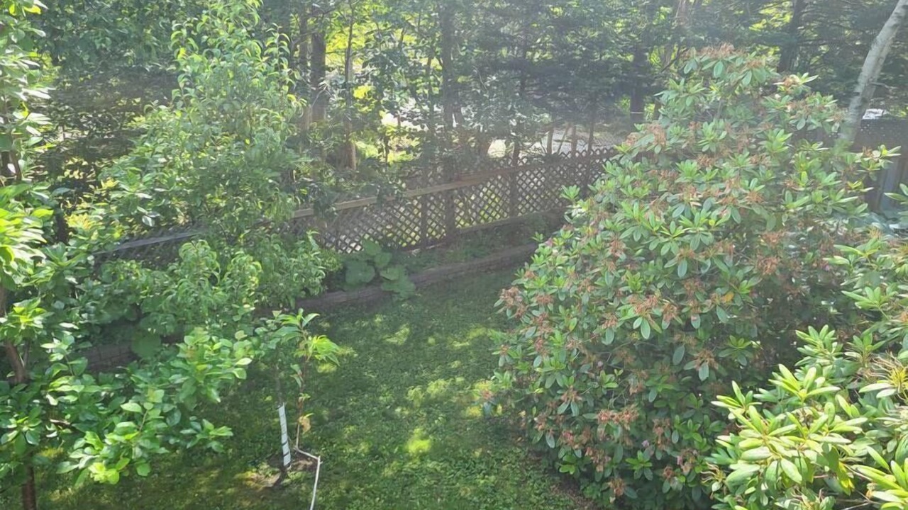 Photo of Outdoor in Halifax