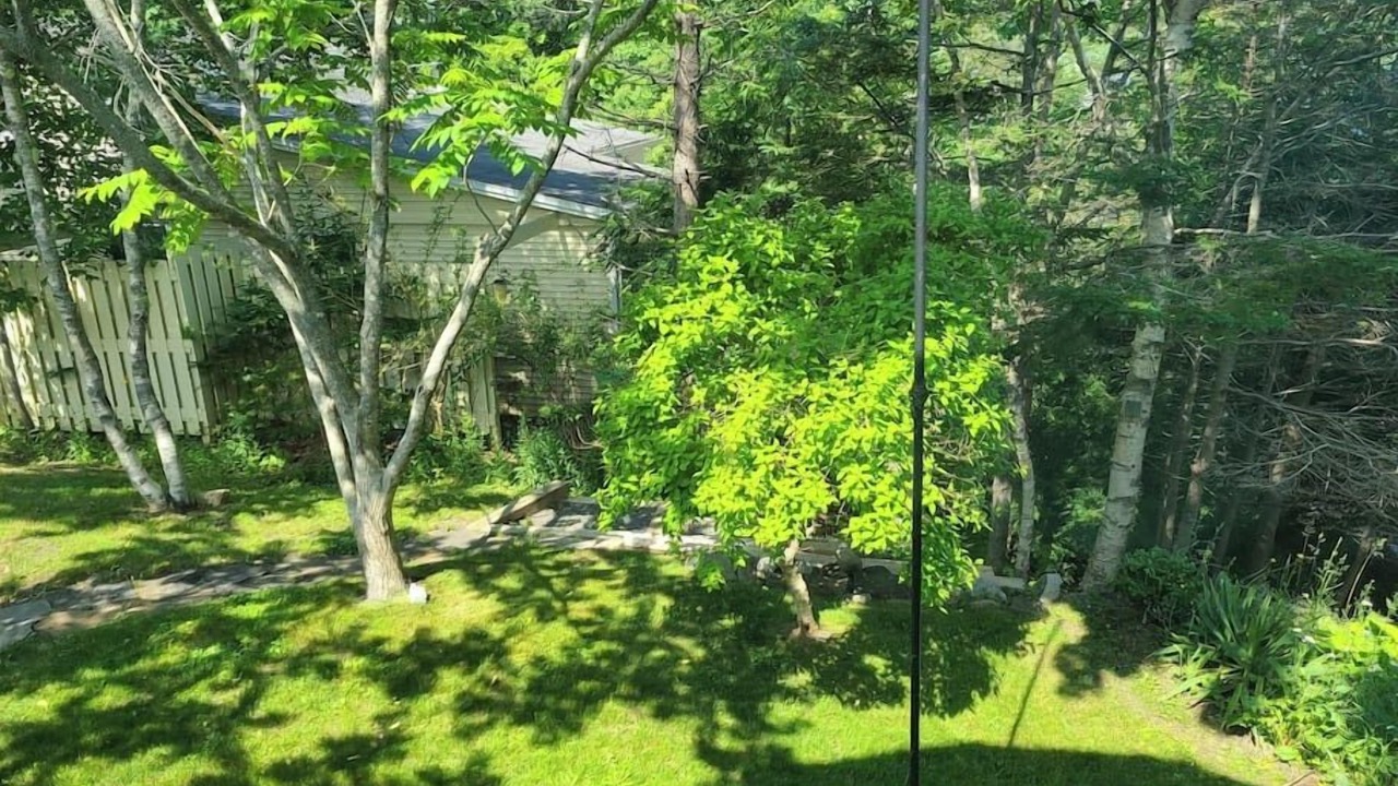 Photo of Outdoor in Halifax
