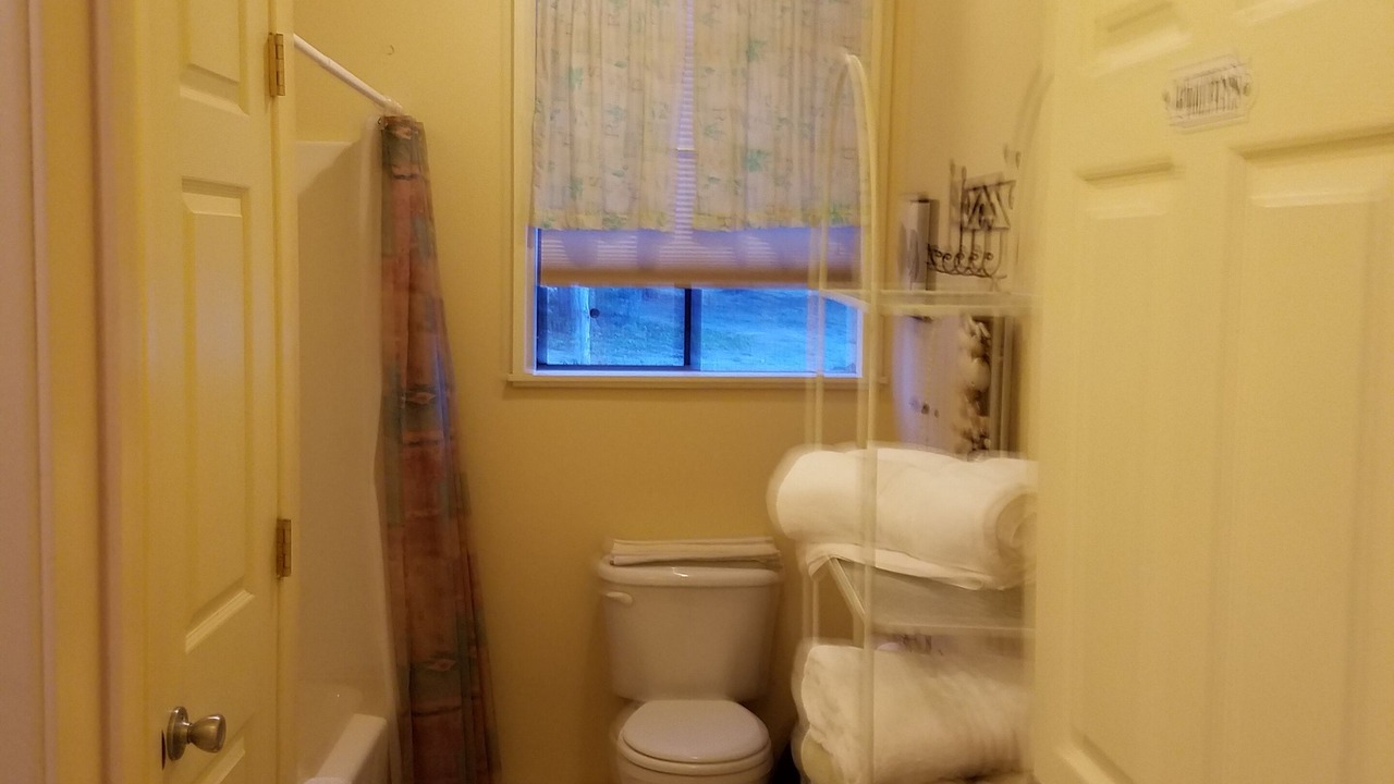 Photo of Bathroom in Utopia