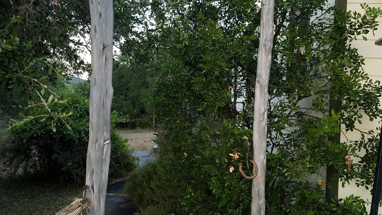 Photo of Others in Utopia