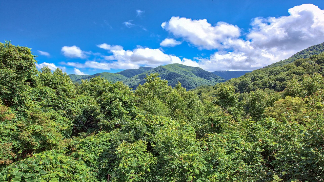 Photo of Others in Maggie Valley